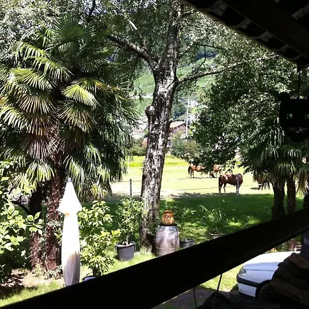 Casa Rosmarino Gordola