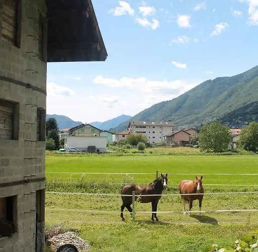 Casa Rosmarino Feriehus Gordola
